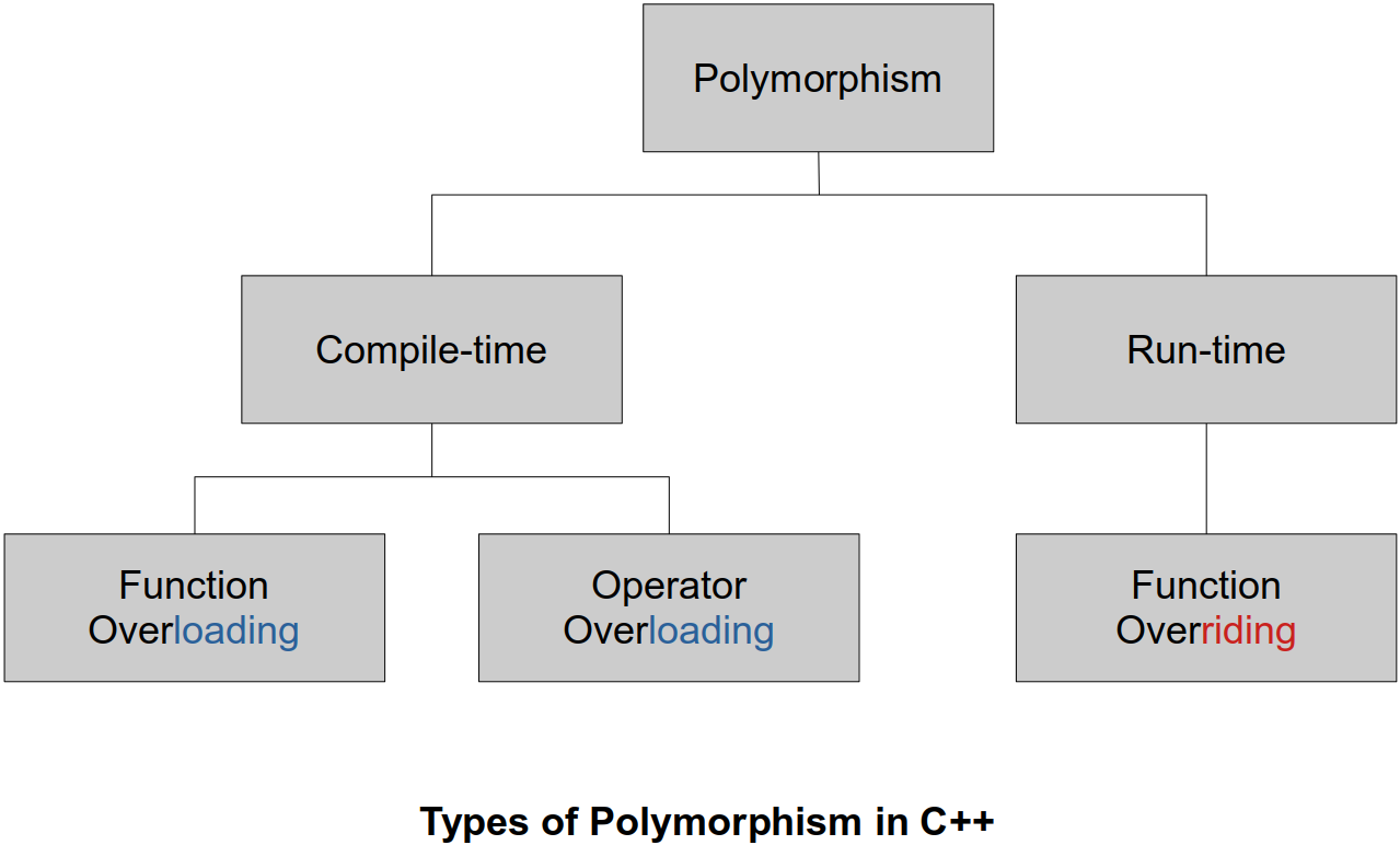 types-of-polymorphism