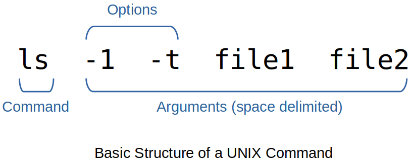 basic-structure-of-a-unix-command